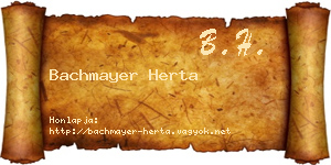 Bachmayer Herta névjegykártya